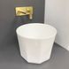 Умивальник (раковина) VBI PRAZZO WHITE накладний VBI-016604 фото 3