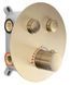 Душова система REA LUNGO BRUSHED GOLD з термостатом + BOX прихованого монтажу REA-P8551 фото 2