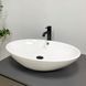 Умивальник (раковина) VBI OLIVELLA WHITE накладний VBI-012902 фото 1