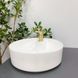 Умивальник (раковина) VBI RIETI WHITE накладний VBI-015500 фото 3