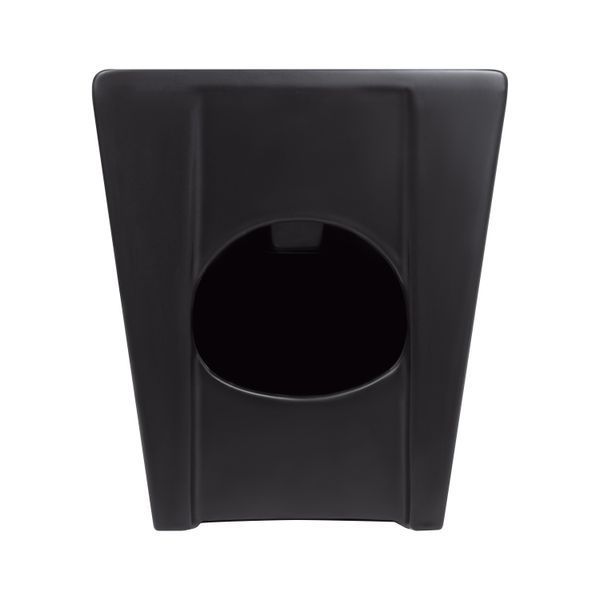 Біде підлогове Qtap Robin 565x360x405 Matt black QT13442141CMB QT13442141CMB фото